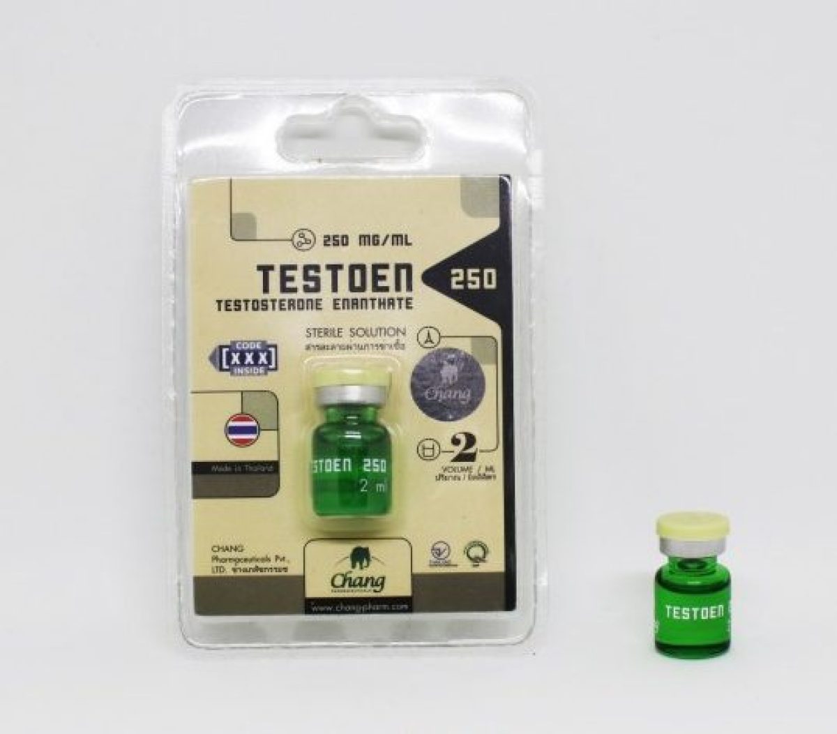 chang-testoen-559x559